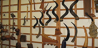 horns