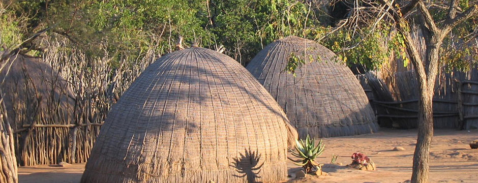 Village huts